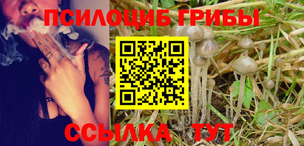 Галлюциногенные грибы прущие грибы Курчатов