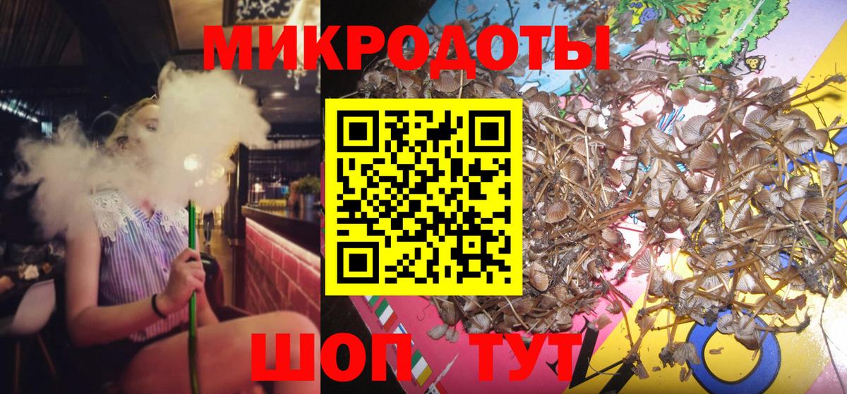 Курчатов  Псилоцибиновые грибы GOLDEN TEACHER  Вход с VPN 